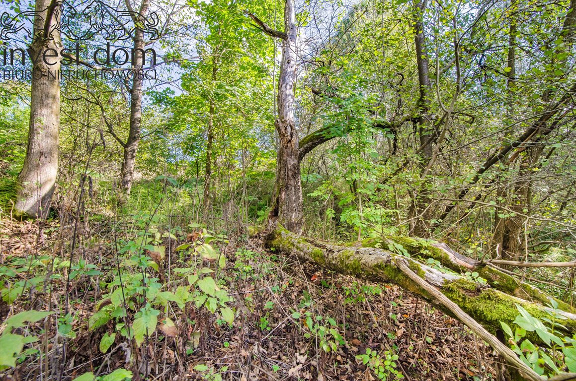 Działka budowlana na sprzedaż Nowica  1 900m2 Foto 8