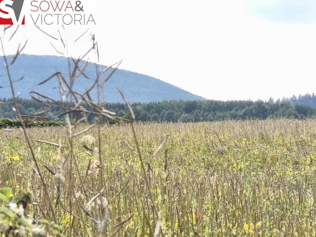 Działka z widokiem na Chełmiec i Trójgarb, warunki zabudowy Lubomin  2 033m2 Foto 1