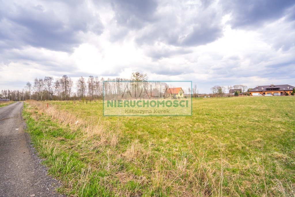 Sprzedam dużą działkę 8300 m² z mediami i dojazdem z dwóch stron Jaktorów-Kolonia  8 300m2 Foto 1
