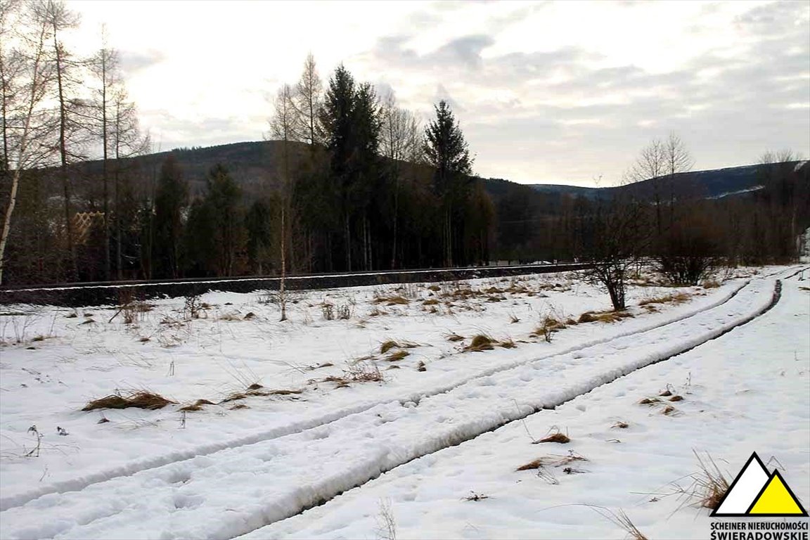 Działka budowlana na sprzedaż Orłowice, Orłowice  2 700m2 Foto 4