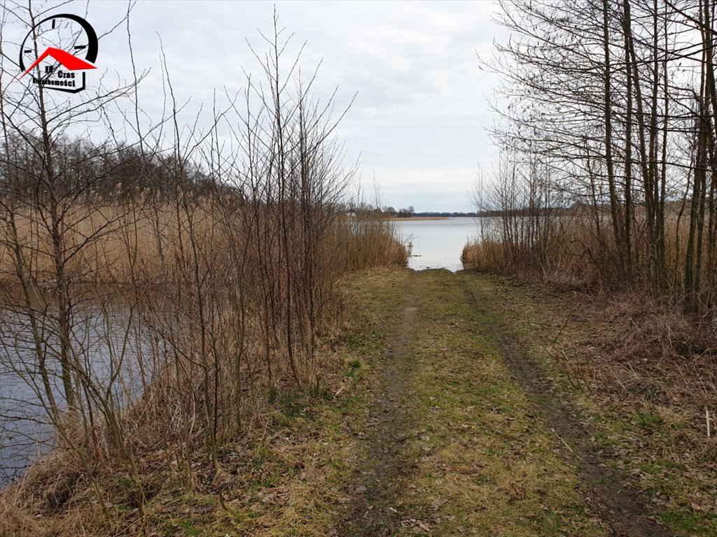 Działka gospodarstwo rolne na sprzedaż Rybiny  4 889m2 Foto 2