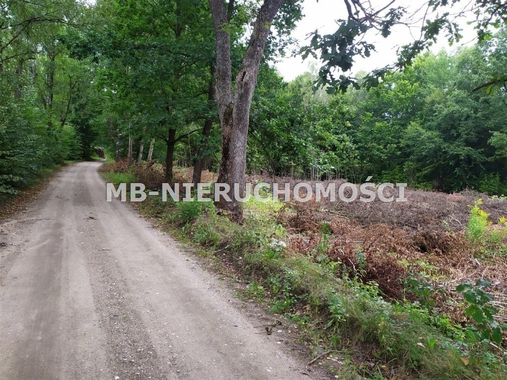 Zapraszam do obejrzenia działki 4500 m² przy lesie w Mątkach Mątki  4 500m2 Foto 1