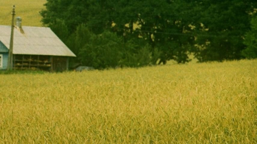 Działka rekreacyjna na sprzedaż Złotniki  1 900m2 Foto 3