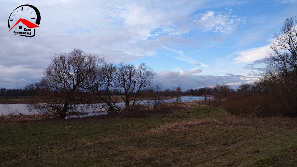 Działka gospodarstwo rolne na sprzedaż Dąbie  5 900m2 Foto 1