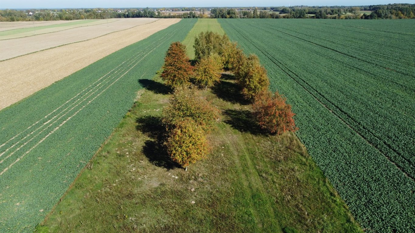 Działka rolna na sprzedaż Szczytno  20 000m2 Foto 1