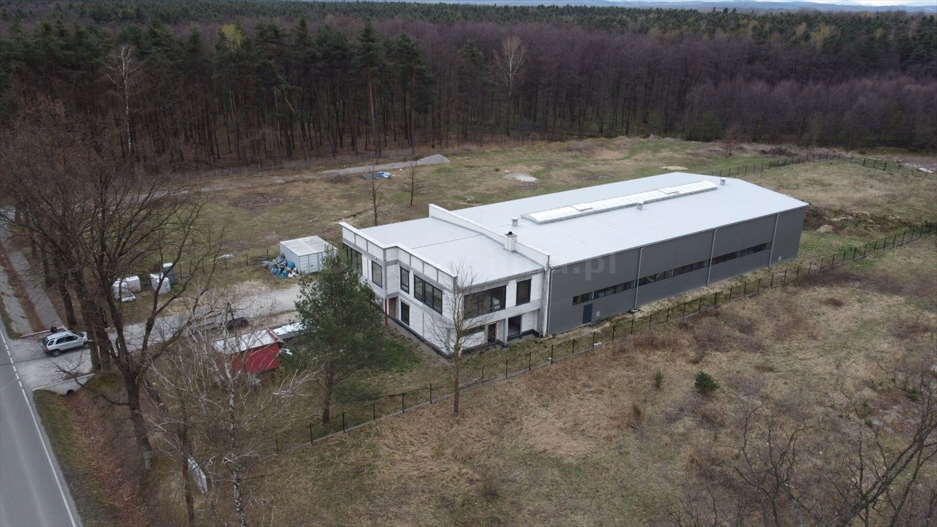 Lokal użytkowy na sprzedaż Dąbrówka  1 173m2 Foto 9