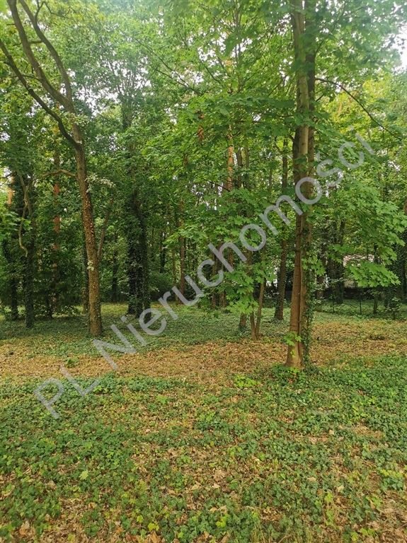 Działka budowlana z mediami, planem w Podkowie Leśnej - polecam! Podkowa Leśna  2 182m2 Foto 1