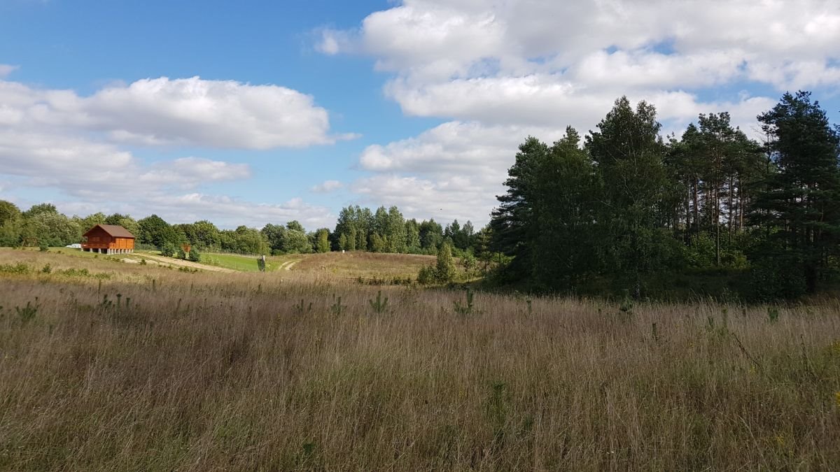 Działka budowlana na sprzedaż Dobki  2 500m2 Foto 6