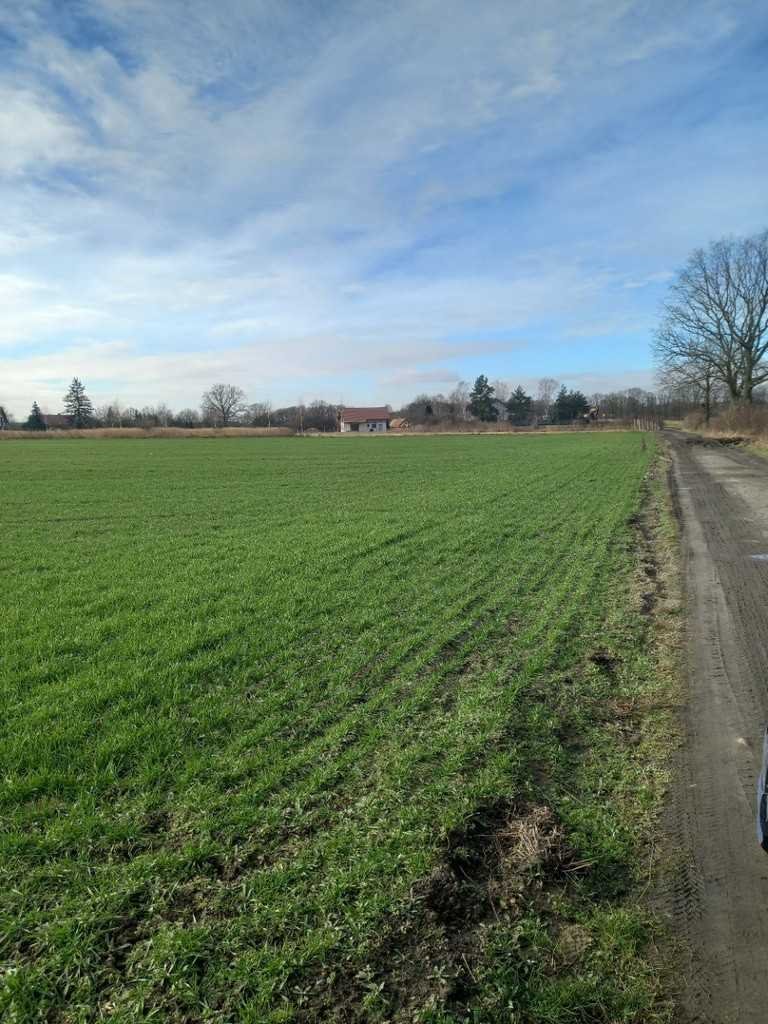 Działka budowlana na sprzedaż Lubin, Miłosna  1 000m2 Foto 1