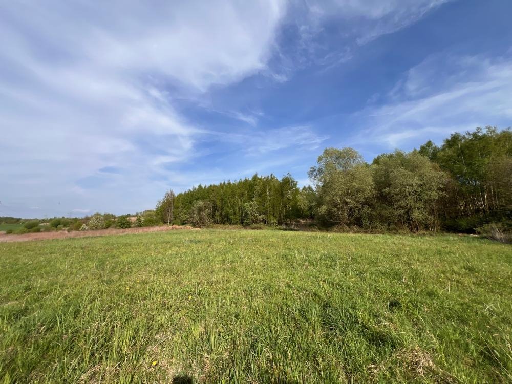 Sprzedam działkę rolną 1,9 ha z widokiem, media, las Radziszów  19 062m2 Foto 1
