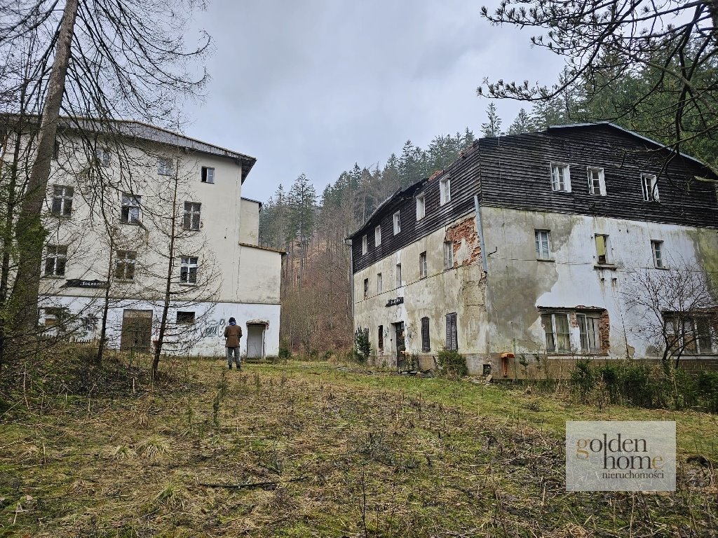 Działka inwestycyjna na sprzedaż Kletno, Śnieżnik Jaskinia Niedźwiedzia  19 400m2 Foto 7