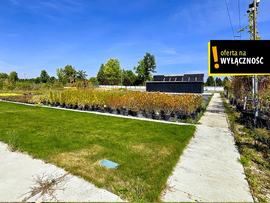 Działka przemysłowo-handlowa na sprzedaż Celiny  24 139m2 Foto 1