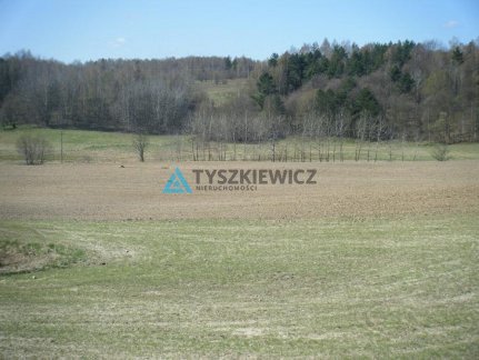 Działka budowlana na sprzedaż Gromadzin  2 907m2 Foto 7