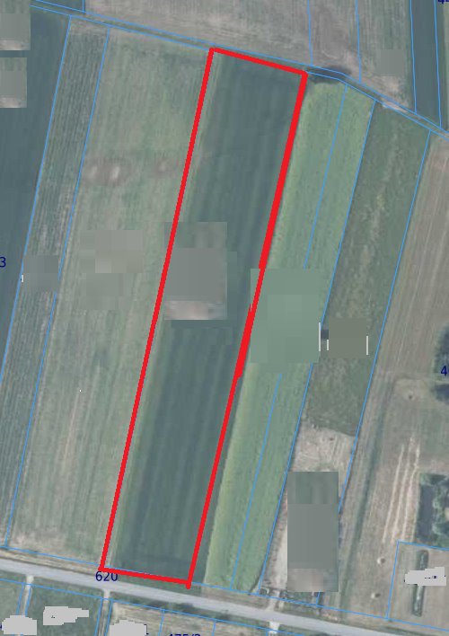 Działka 1,68 ha pod zabudowę i działalność w Surochowie Surochów  16 800m2 Foto 1