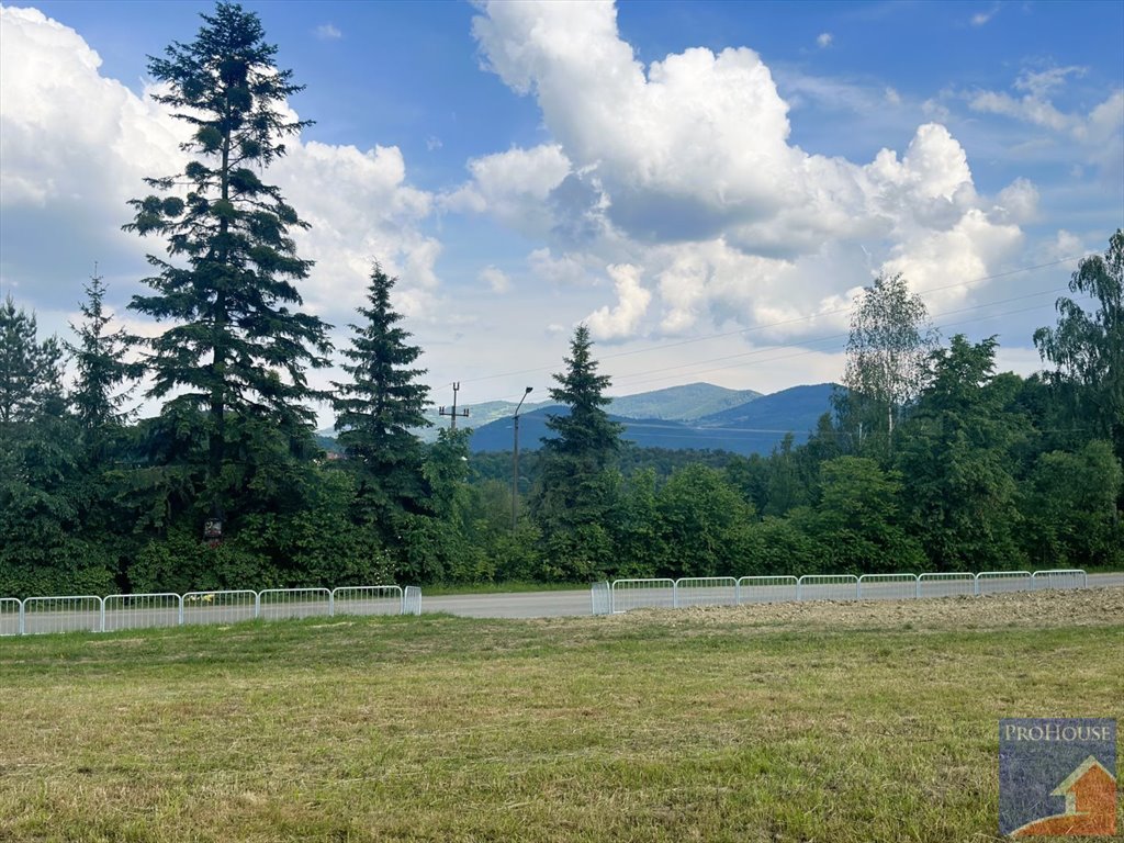 Działka budowlana na sprzedaż Pasierbiec  3 000m2 Foto 13