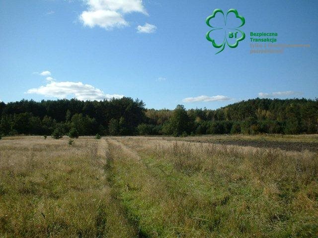 Działka budowlana na sprzedaż Silna, Silna 2 300m2 Foto 1 Działka budowlana na sprzedaż Silna, Silna 2 300m2 Foto 1