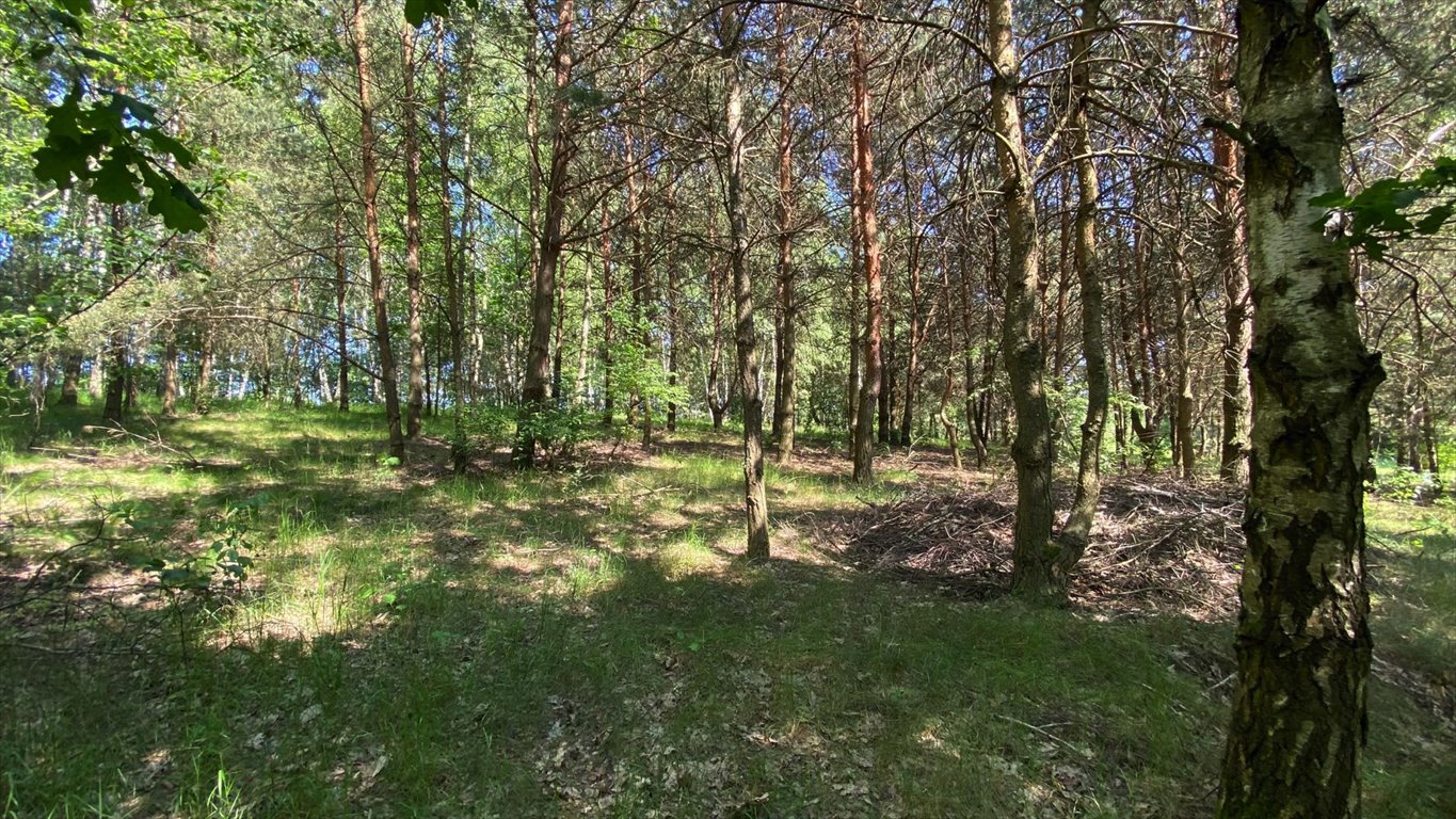 Działka rekreacyjna na sprzedaż Grotowice  33 300m2 Foto 12