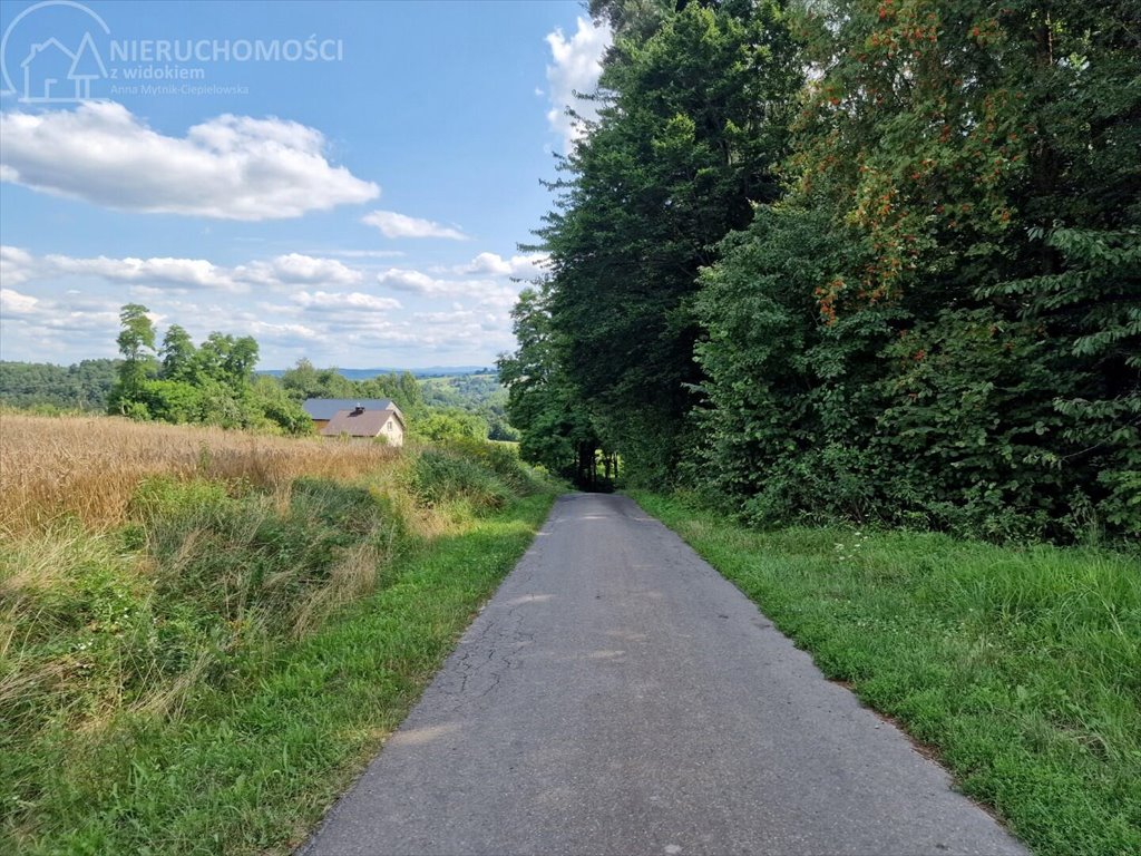 Działka budowlana na sprzedaż Błażkowa  2 200m2 Foto 11