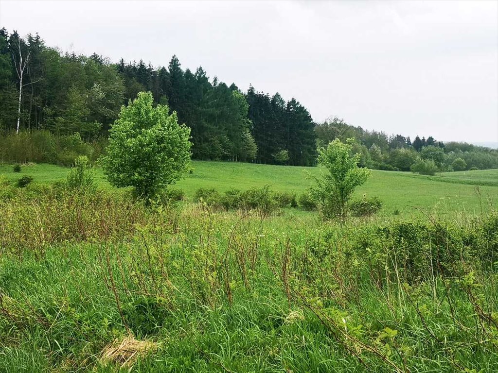 Działka inna na sprzedaż Kłodzko, Stary Wielisław  1 456m2 Foto 2