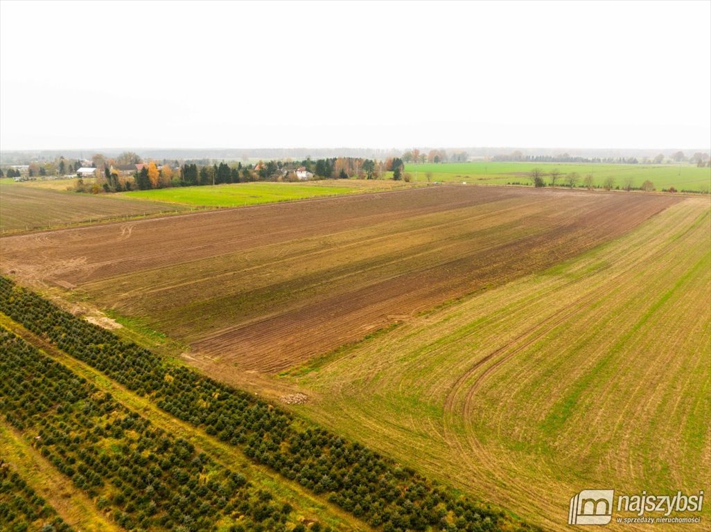 Działka budowlana na sprzedaż Węgorza, Wieś  1 498m2 Foto 5