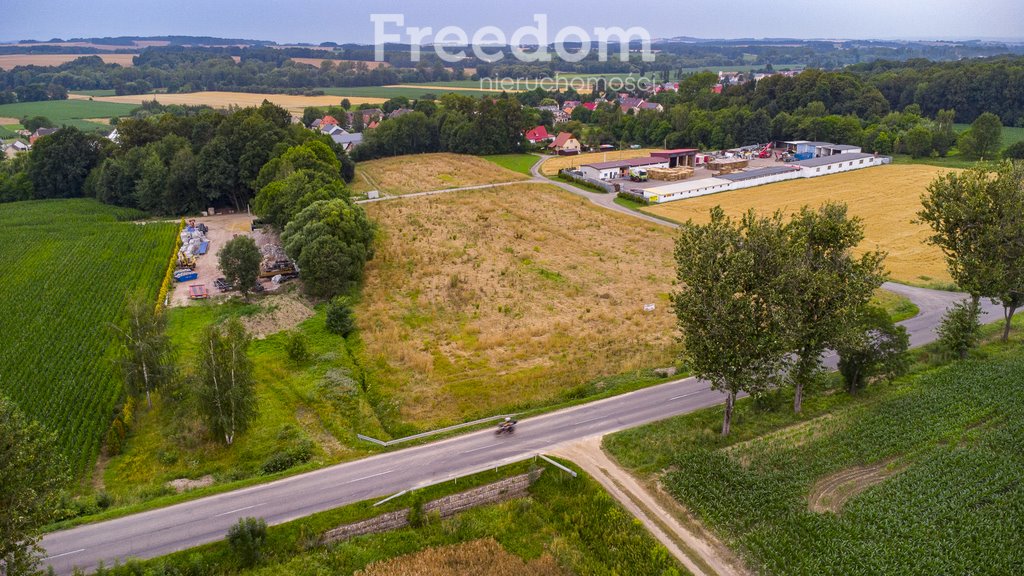 Działka budowlana na sprzedaż Głuchołazy  798m2 Foto 14