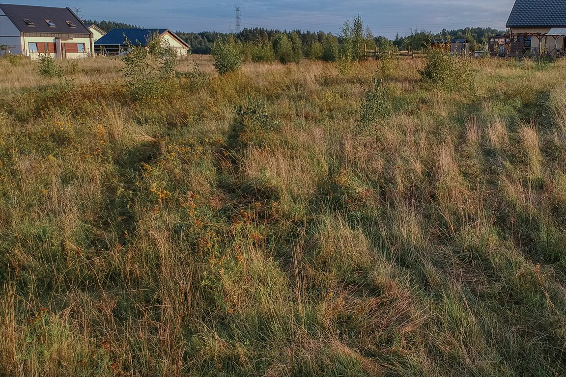 Działka inna na sprzedaż Kowalewo, Na Wzgórzu  1 014m2 Foto 5