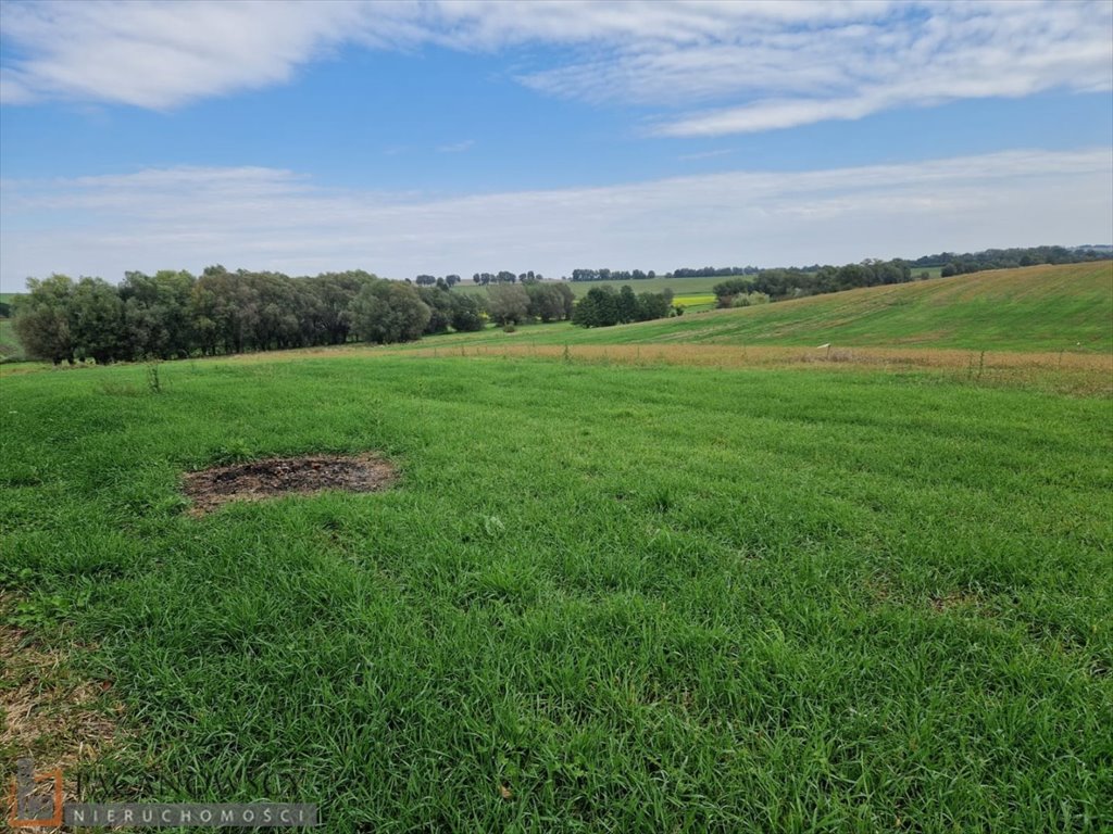 Działka budowlana na sprzedaż Wilków  785m2 Foto 5