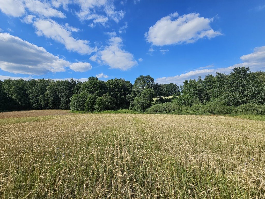 Działka budowlana na sprzedaż Kłodawa  1 763m2 Foto 4