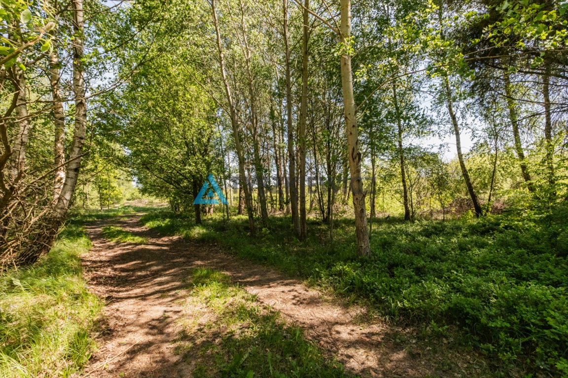 Działka rekreacyjna na sprzedaż Sarnowy  4 500m2 Foto 9