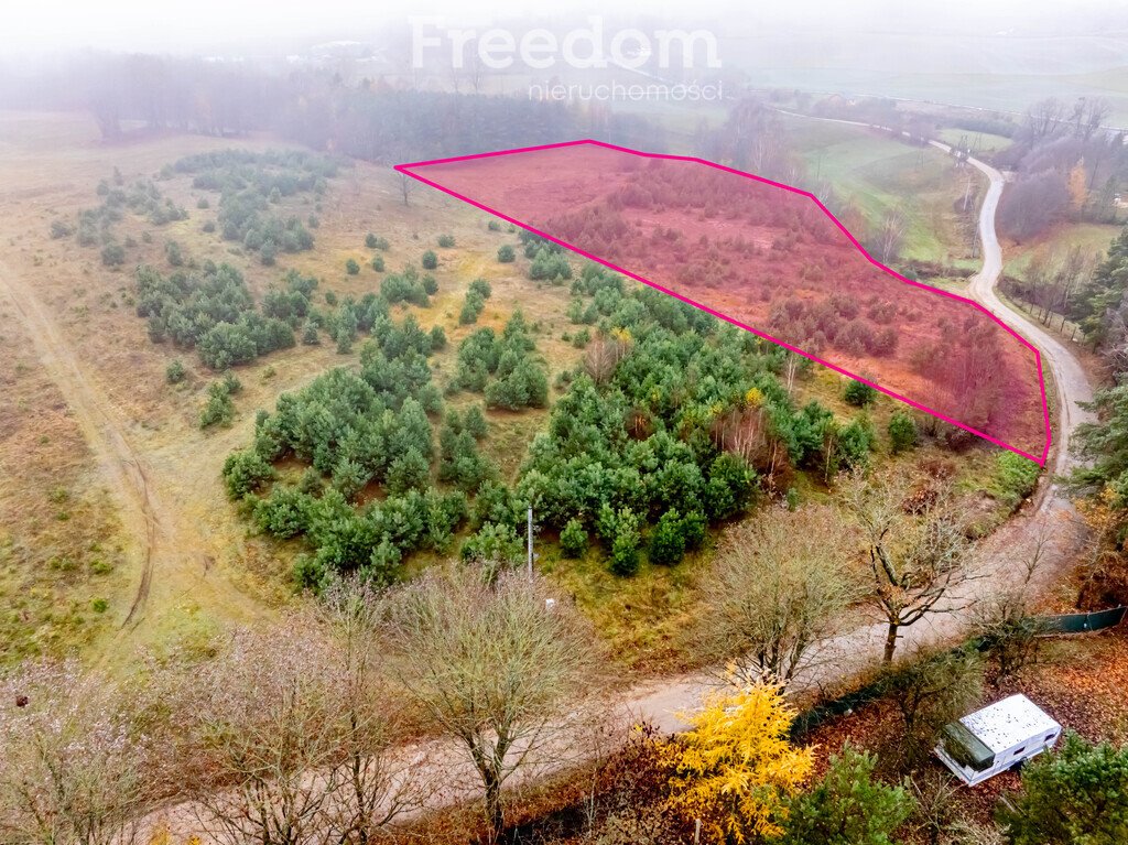 Działka budowlana na sprzedaż Czarna Huta, Szara  15 200m2 Foto 3