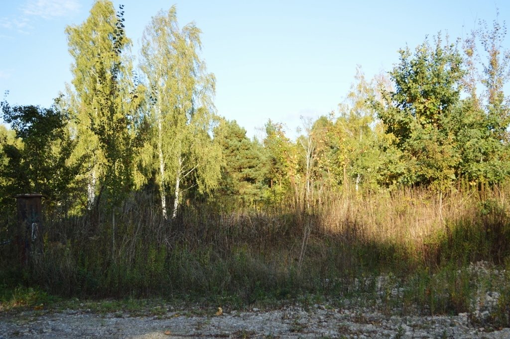 Działka budowlana na sprzedaż Sierzchów, Mazowiecka  10 500m2 Foto 3