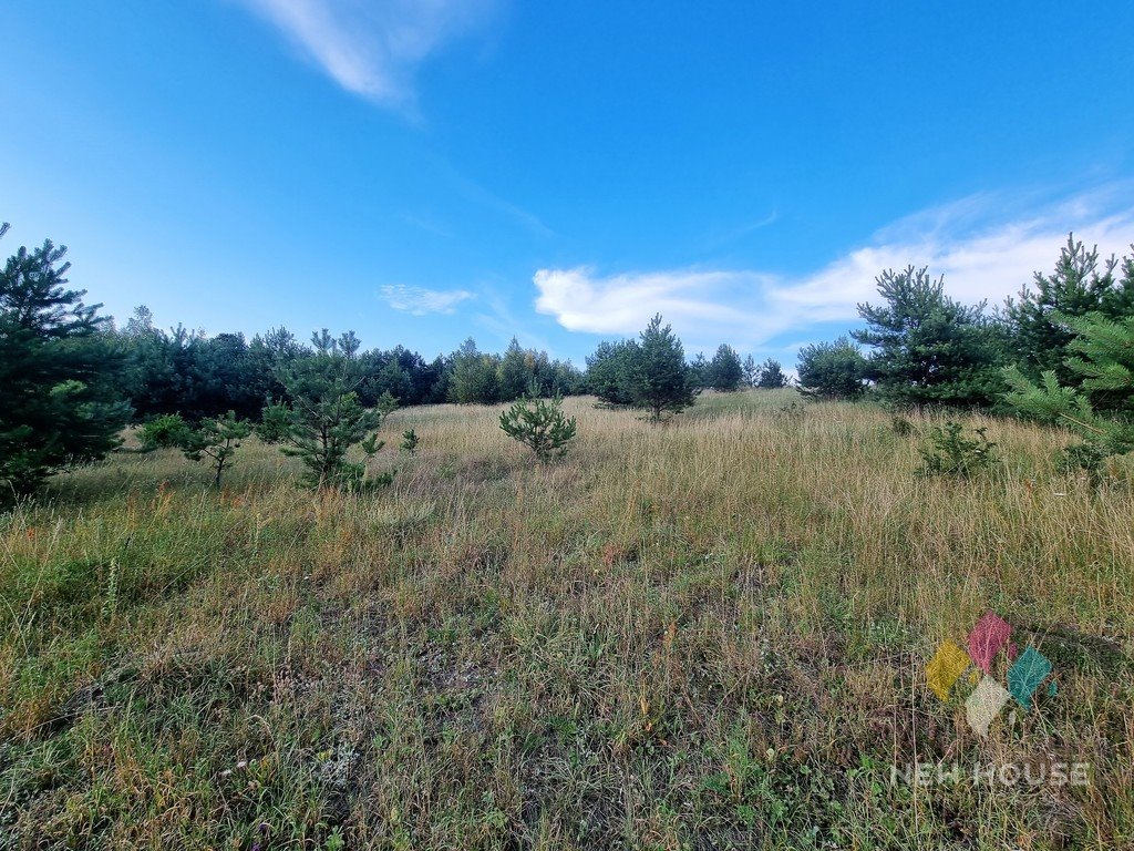 Działka budowlana na sprzedaż Śniadowo  3 594m2 Foto 10