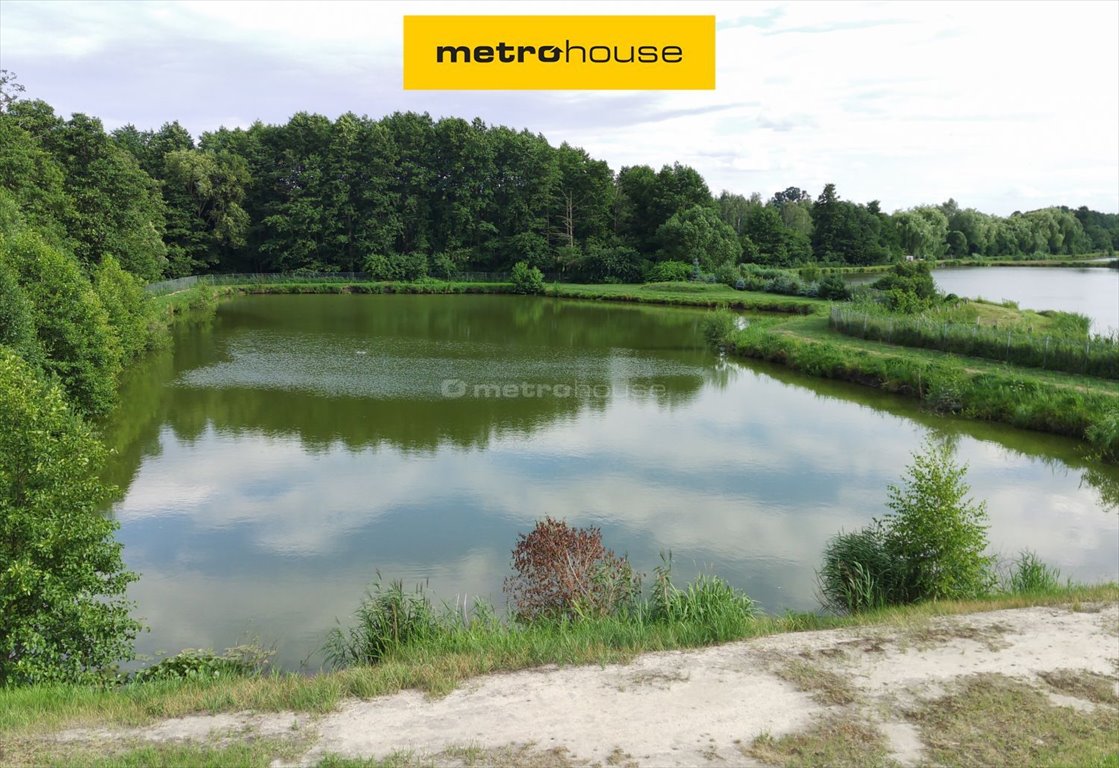 Działka z stawem 0,9 ha – idealna na relaks i inwestycję Cieśle  9 000m2 Foto 1