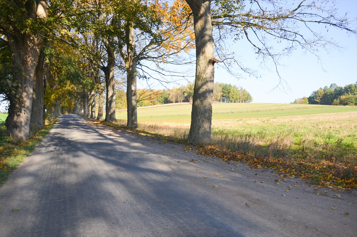 Działka siedliskowa na sprzedaż Borkowo  3 000m2 Foto 12