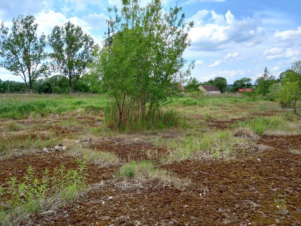 Działka budowlana na sprzedaż Chwaliszów, Chwaliszów  52 272m2 Foto 15