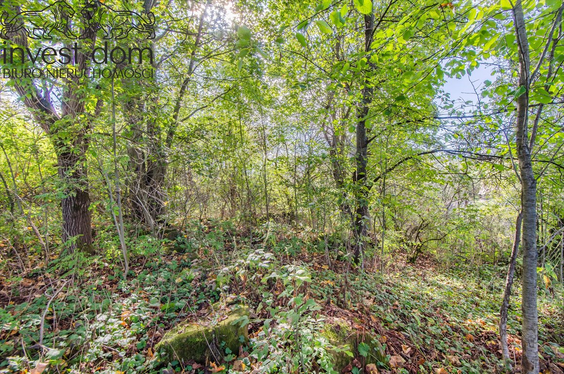 Działka budowlana na sprzedaż Nowica  1 900m2 Foto 6