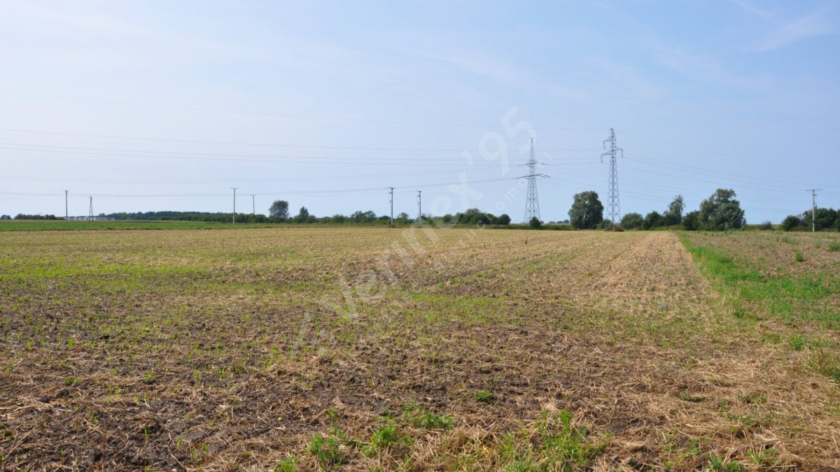 Działka rolna na sprzedaż Zamysłowo  19 027m2 Foto 4