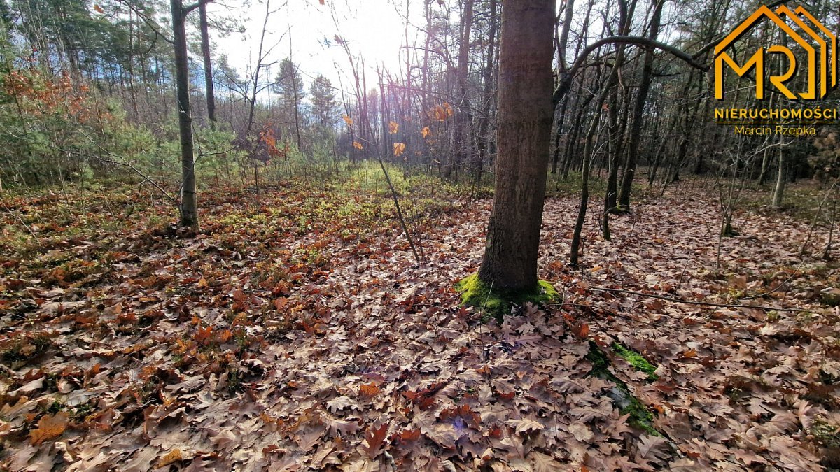 Działka rolna na sprzedaż Stare Żukowice  2 200m2 Foto 5