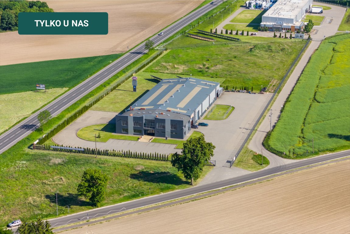 Magazyn na wynajem Głuchowo  2 631m2 Foto 1