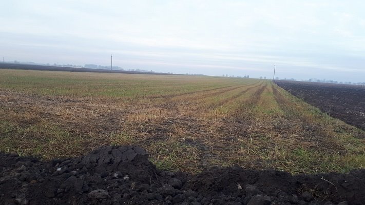 Działka 4 ha z warunkami zabudowy pod dom w Ilno - polecam! Żelazków, Ilno  40 000m2 Foto 1