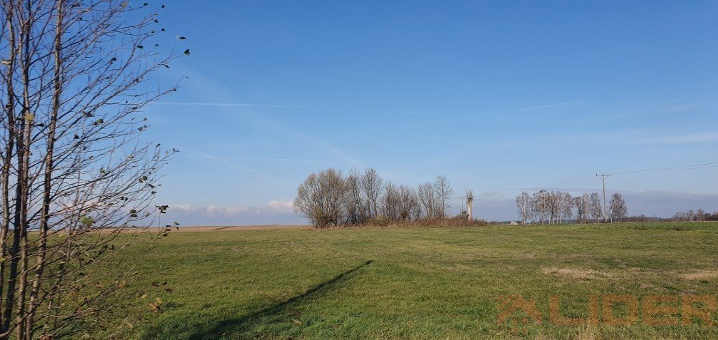 Działka inna na sprzedaż Chraboły  9 300m2 Foto 1