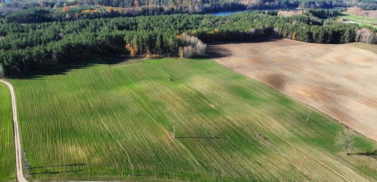 Działka rolna na sprzedaż Bakałarzewo  3 000m2 Foto 7