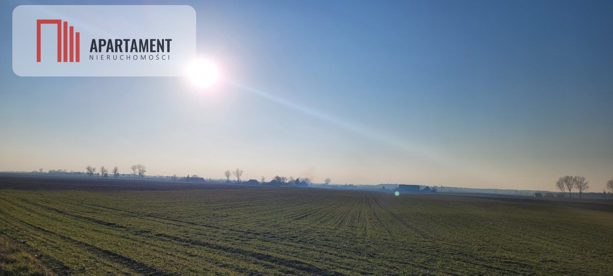 Działka budowlana na sprzedaż Będzitówek  3 300m2 Foto 3