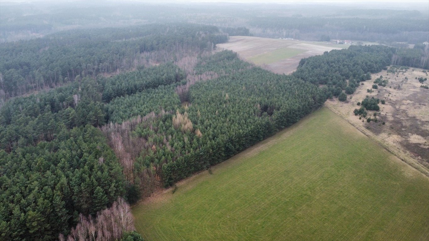 Działka leśna na sprzedaż Gorzakiew  27 000m2 Foto 8