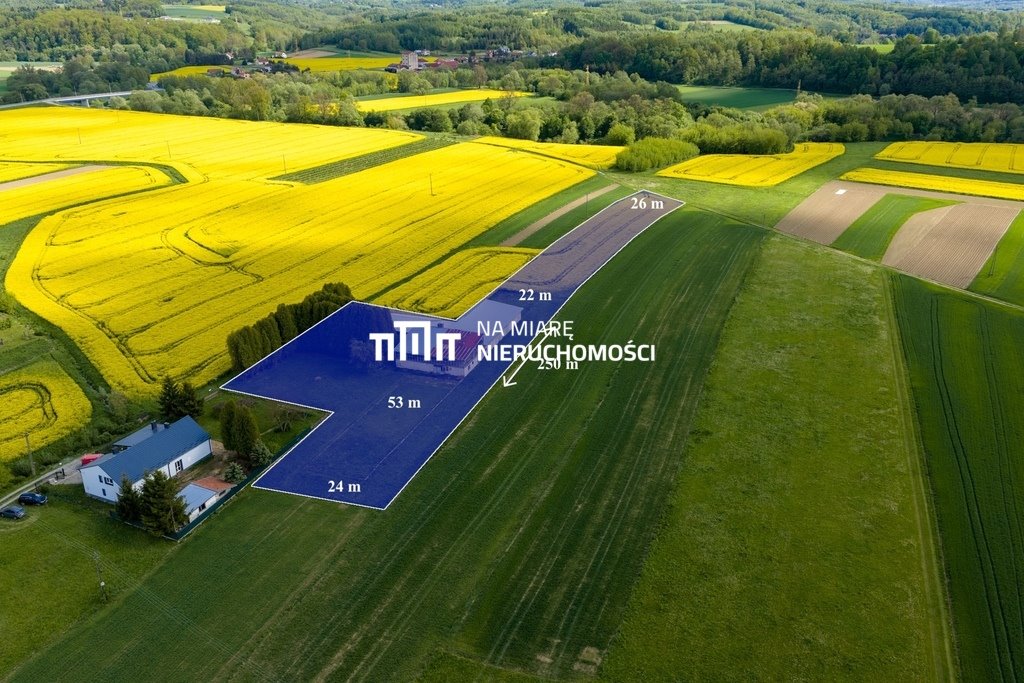 Działka 49,38 a z halą pod magazyn i produkcję Dobrzechów  750m2 Foto 1