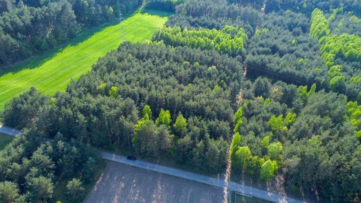 Działka rekreacyjna na sprzedaż Nowe Bosewo, Lipnik  1 245m2 Foto 3