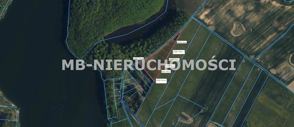 Sprzedam działkę 11 700 m² nad jeziorem Jaśkowskim Skarpa  11 700m2 Foto 1