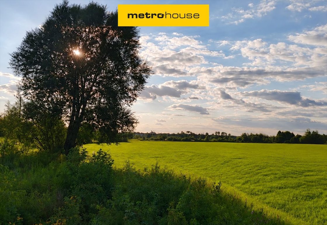 Działka inwestycyjna 11 152 m² w Skierniewicach - pod osiedle Skierniewice  11 152m2 Foto 1