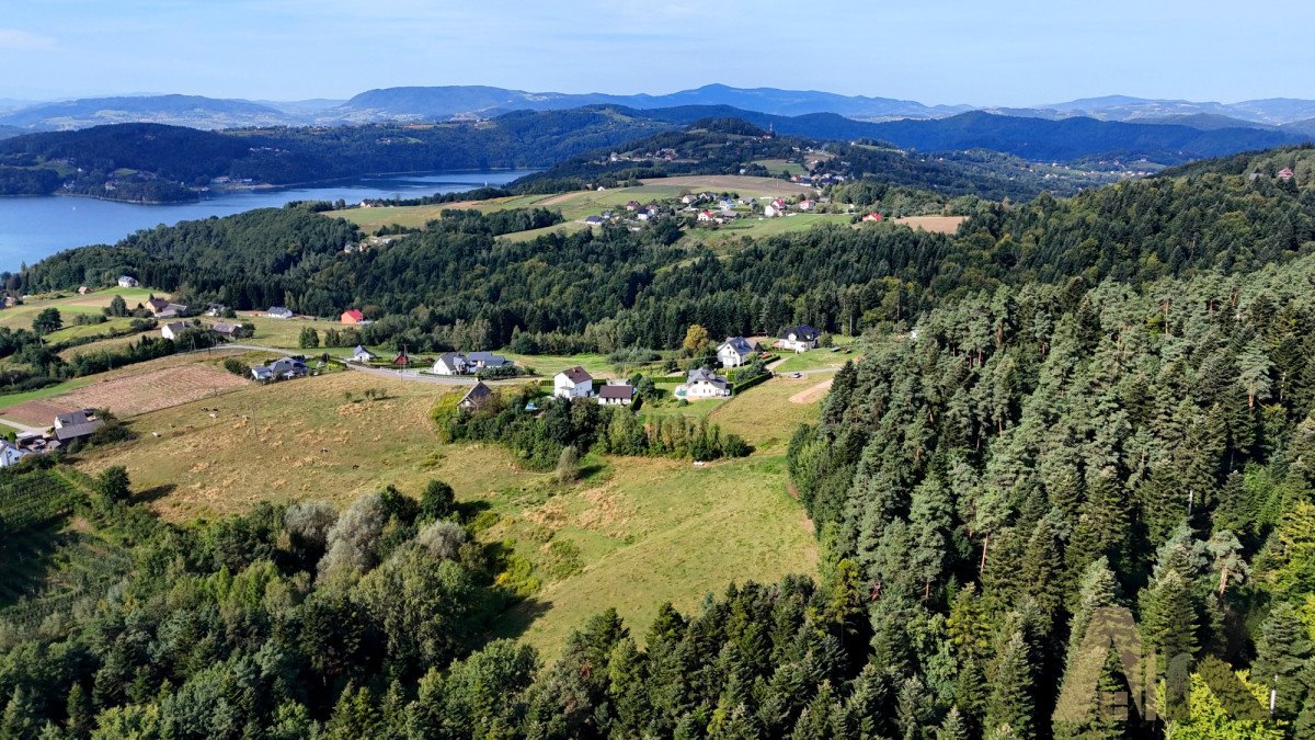 Działka rekreacyjna na sprzedaż Bartkowa-Posadowa  21 556m2 Foto 9