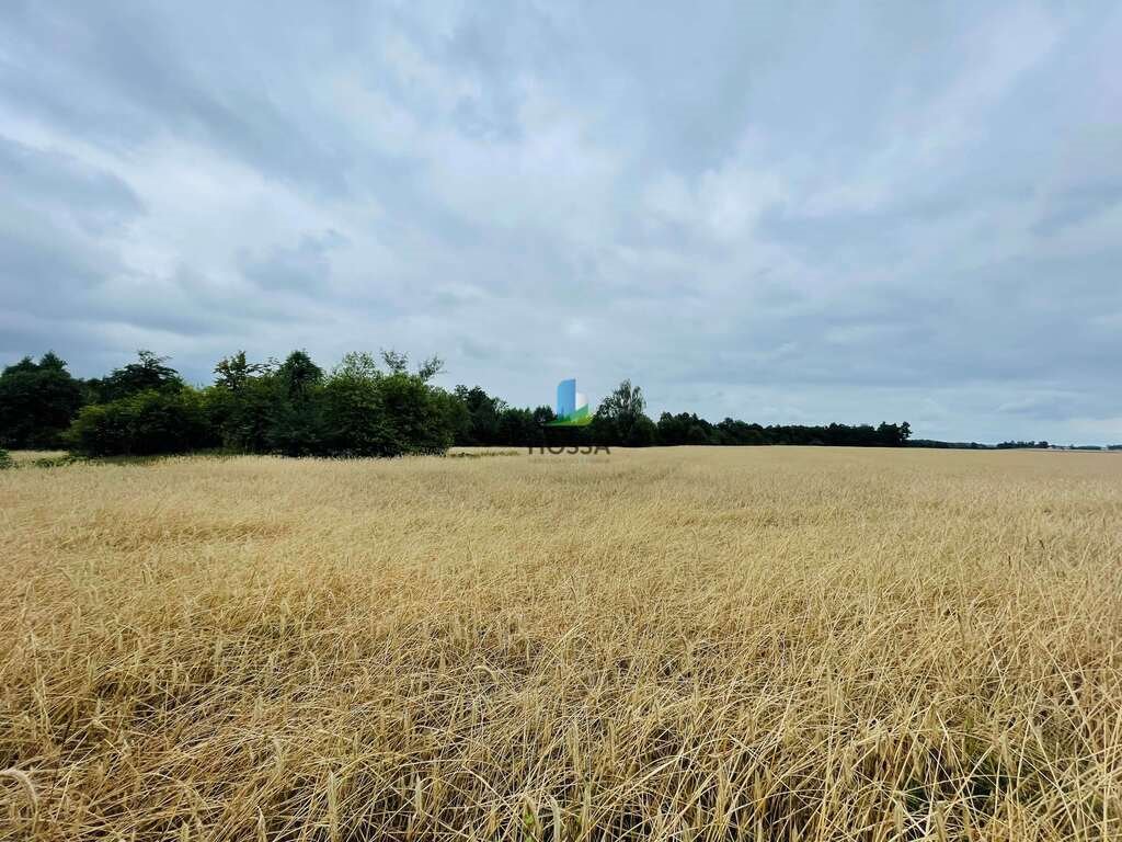 Działka budowlana na sprzedaż Miłkowiec  3 000m2 Foto 3